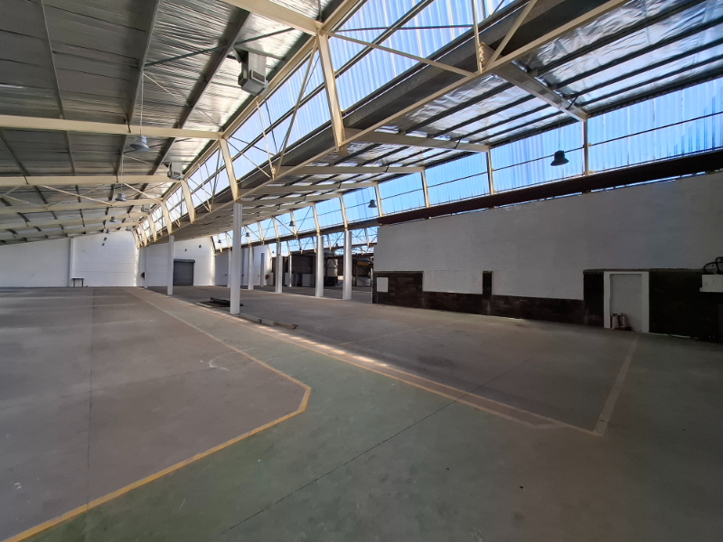 To Let commercial Property for Rent in Montague Gardens Western Cape